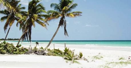 Cancún y Riviera Maya - All Inclusive - Imagen 3