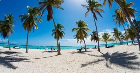 Bayahibe - All Inclusive - Imagen 3