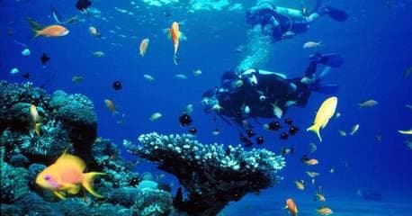 Bayahibe - All Inclusive - Imagen 2